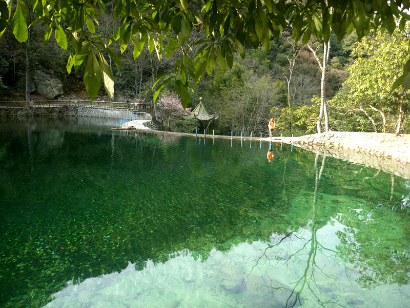 p1190200_.jpg