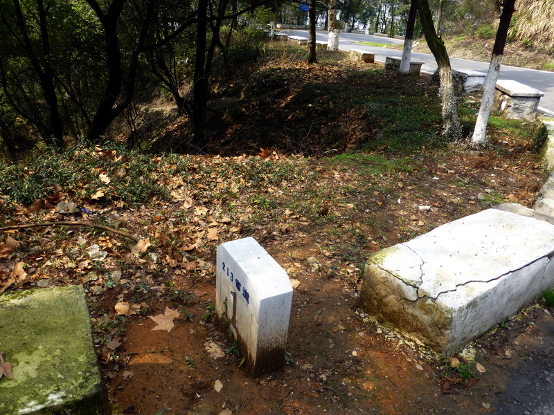 p1190149.jpg
