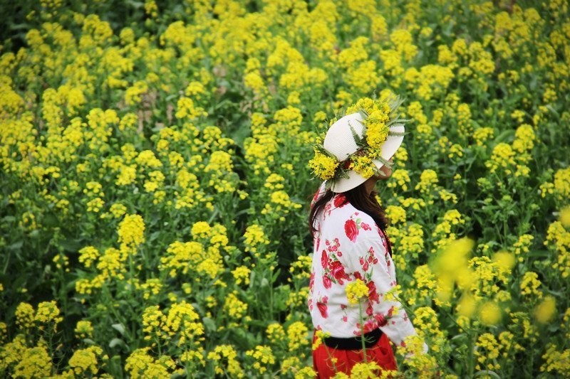 qqͼƬ20140322200511.jpg