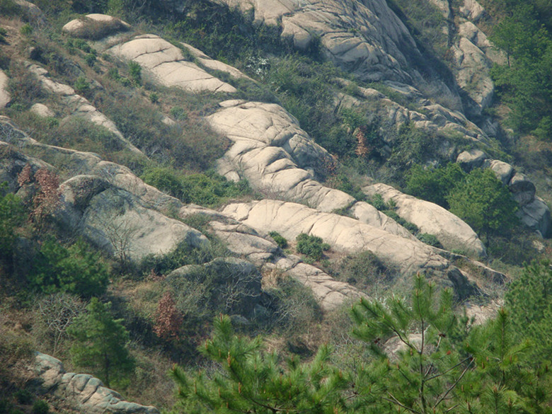 dsc03710_.jpg