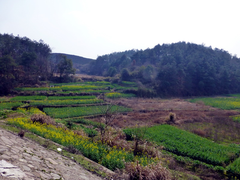 p1190169.jpg