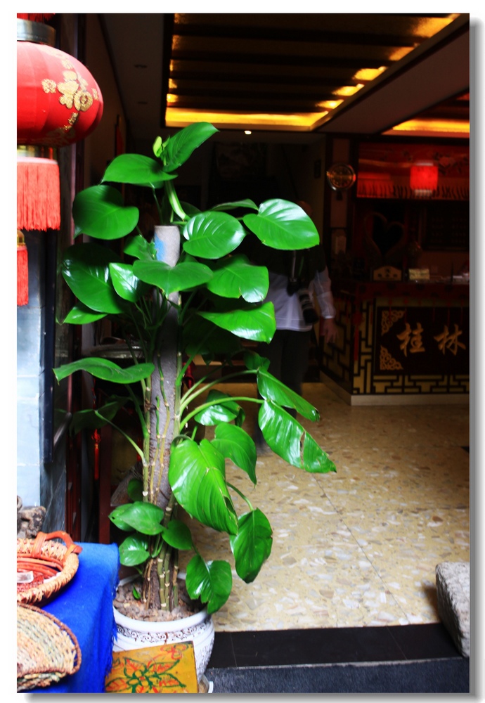 img_8197副本.jpg