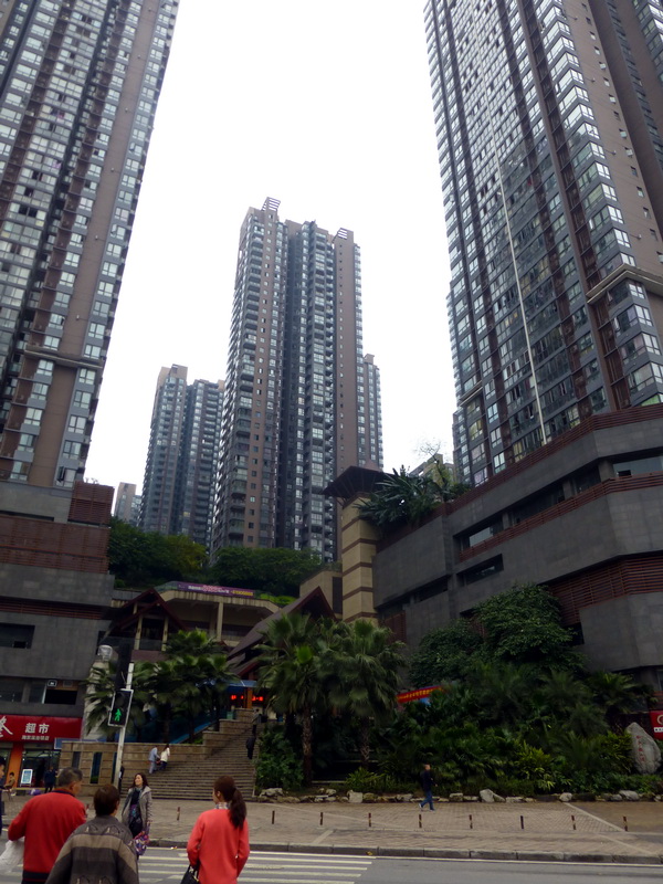 p1190278.jpg