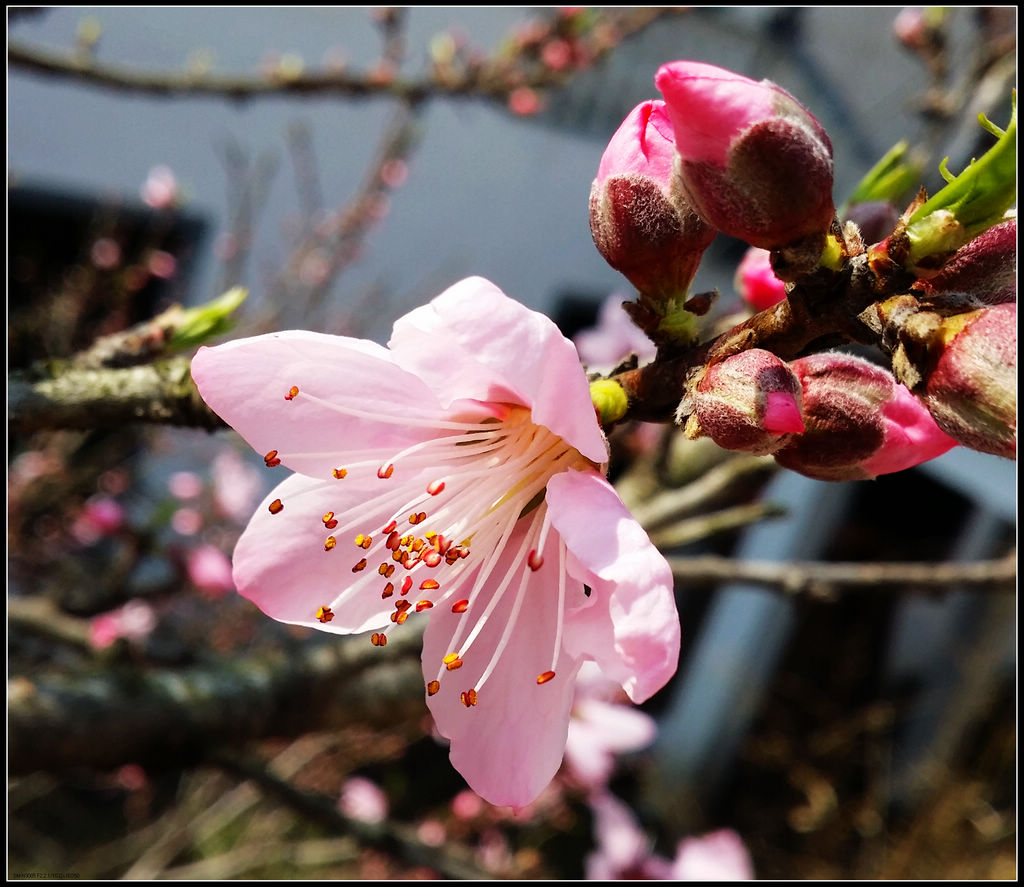 20140321_135849.jpg