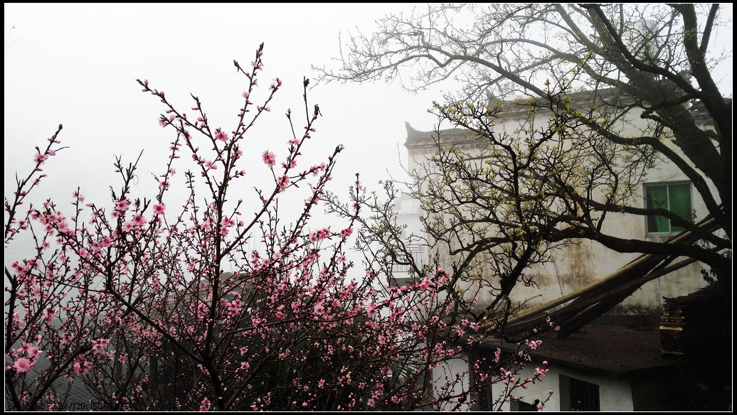20140321_070313.jpg
