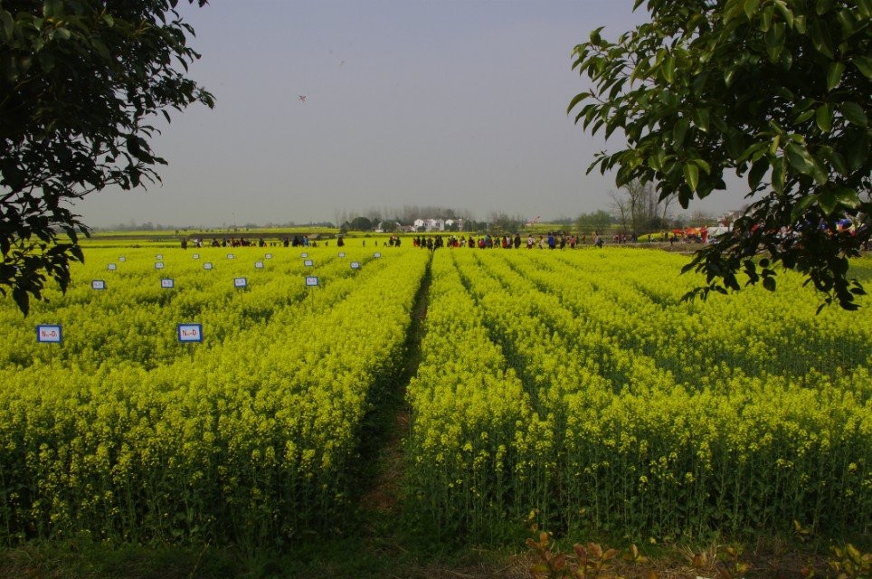 qqͼƬ20140325100344.jpg
