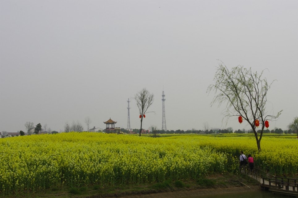 qqͼƬ20140325100240.jpg