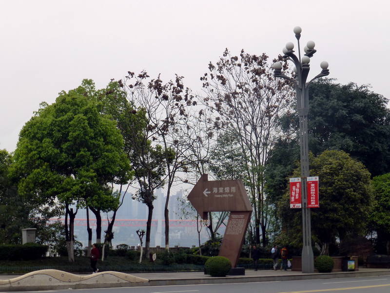 p1190346.jpg