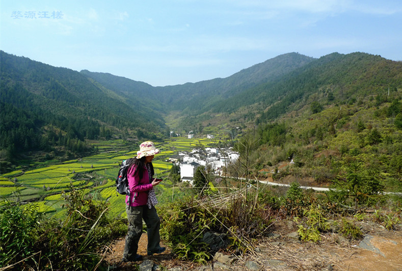 p1130477_1.jpg