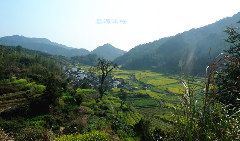 p1130493_1.jpg