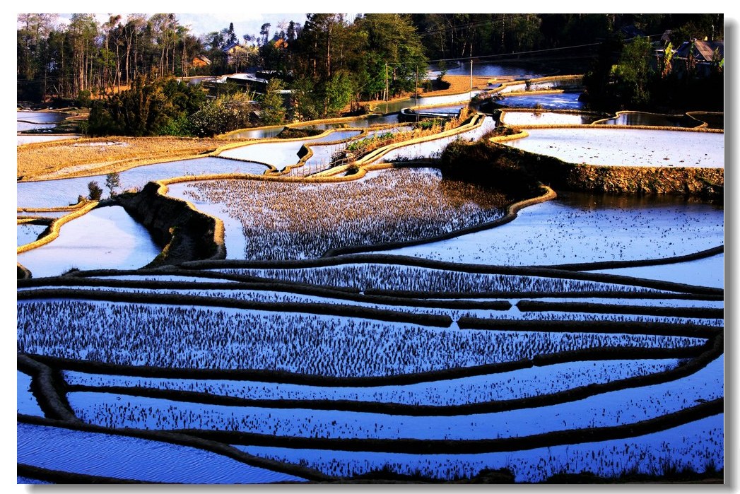 img_8304_副本_副本_副本.jpg