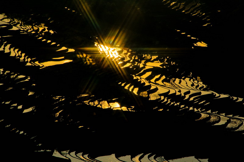 img_9961_缩小大小.jpg
