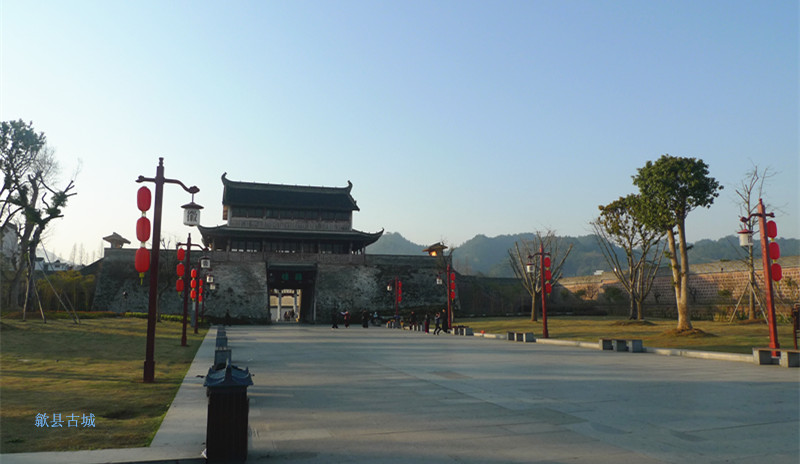 p1130559_1.jpg