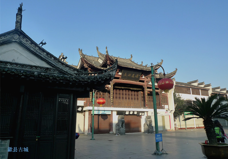 p1130595_1.jpg