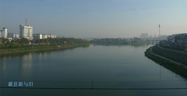 p1130600_1.jpg