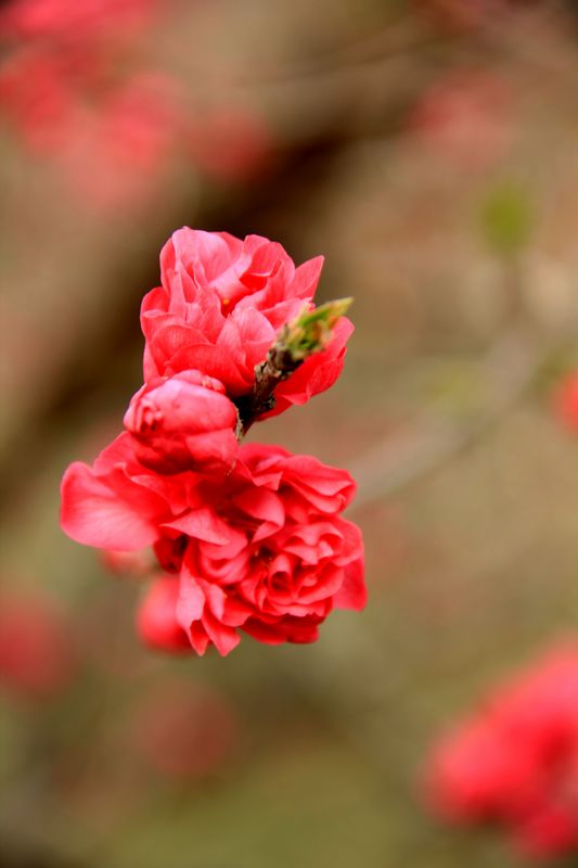 img_3347.jpg