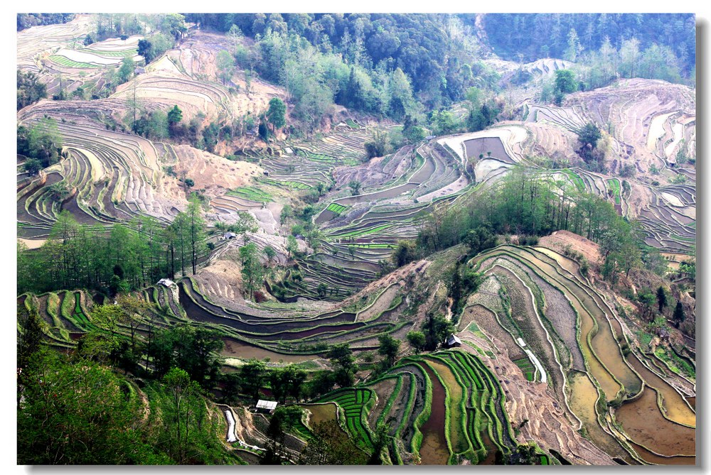 img_8252_新光.jpg