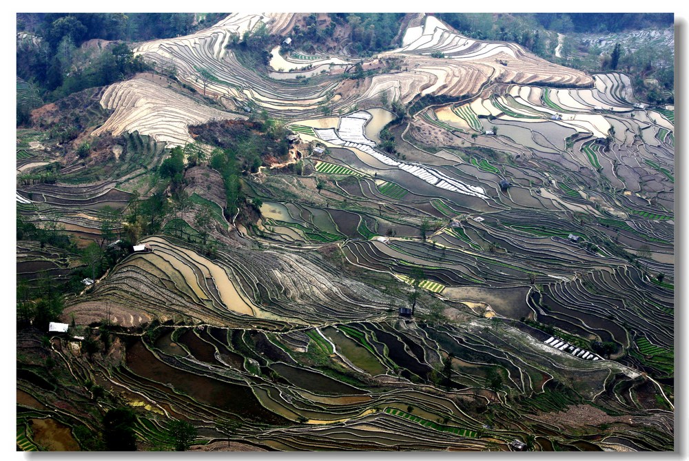 img_8254_新光.jpg