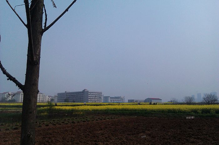 imag0039.jpg