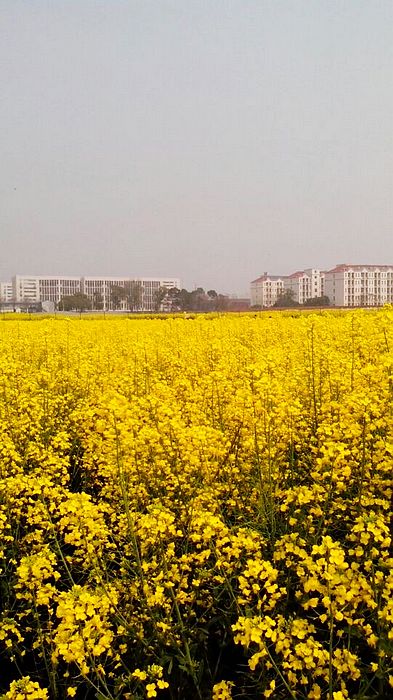 qqͼƬ20140326190027.jpg