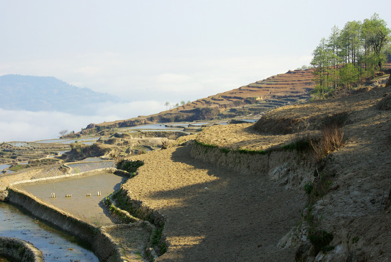 imgp4506a.jpg