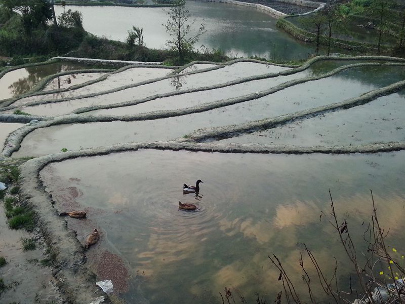 20140308_074755_.jpg