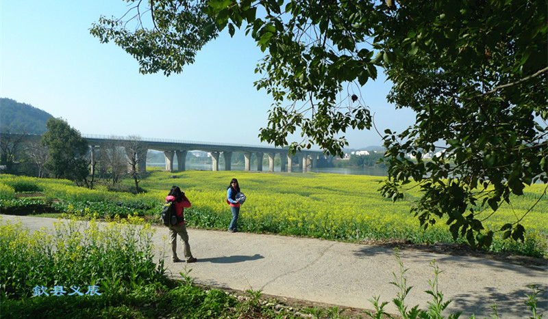 p1130687_1.jpg