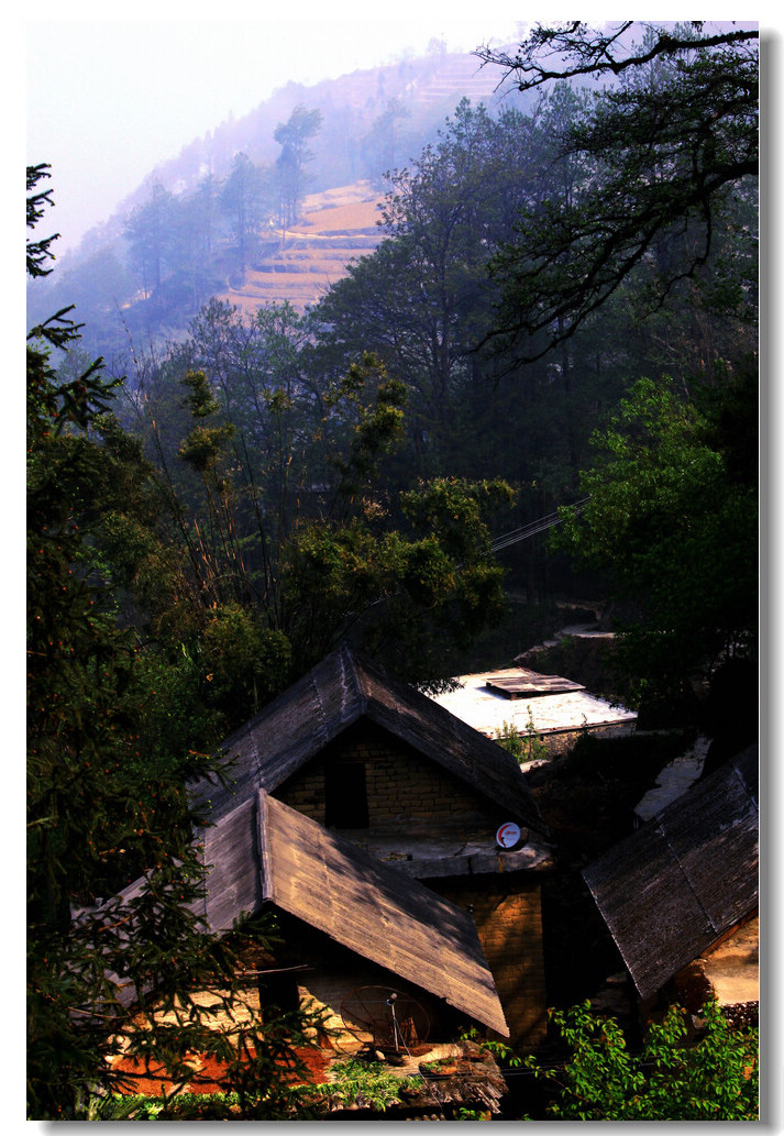img_8461___.jpg