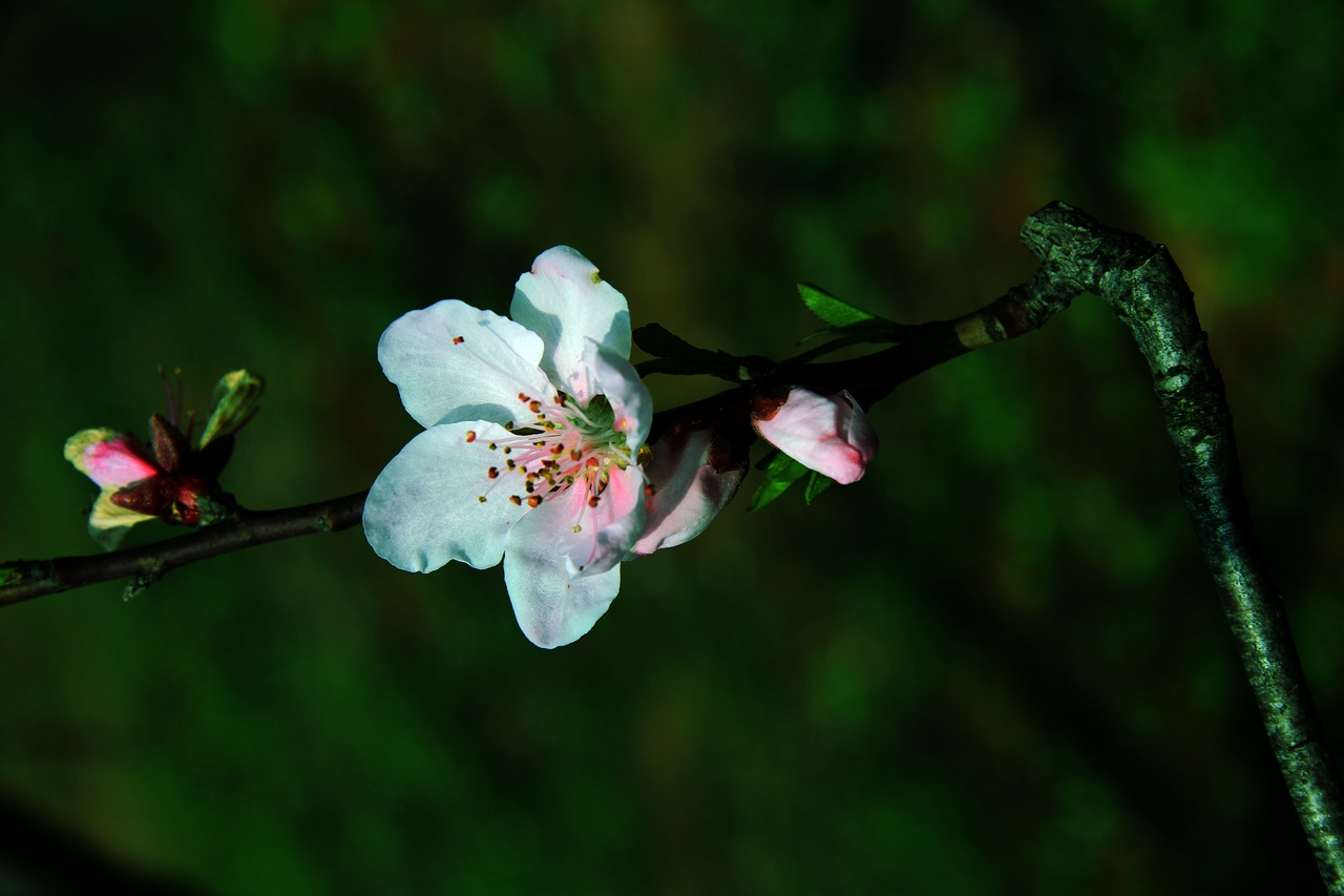 img_0085.jpg