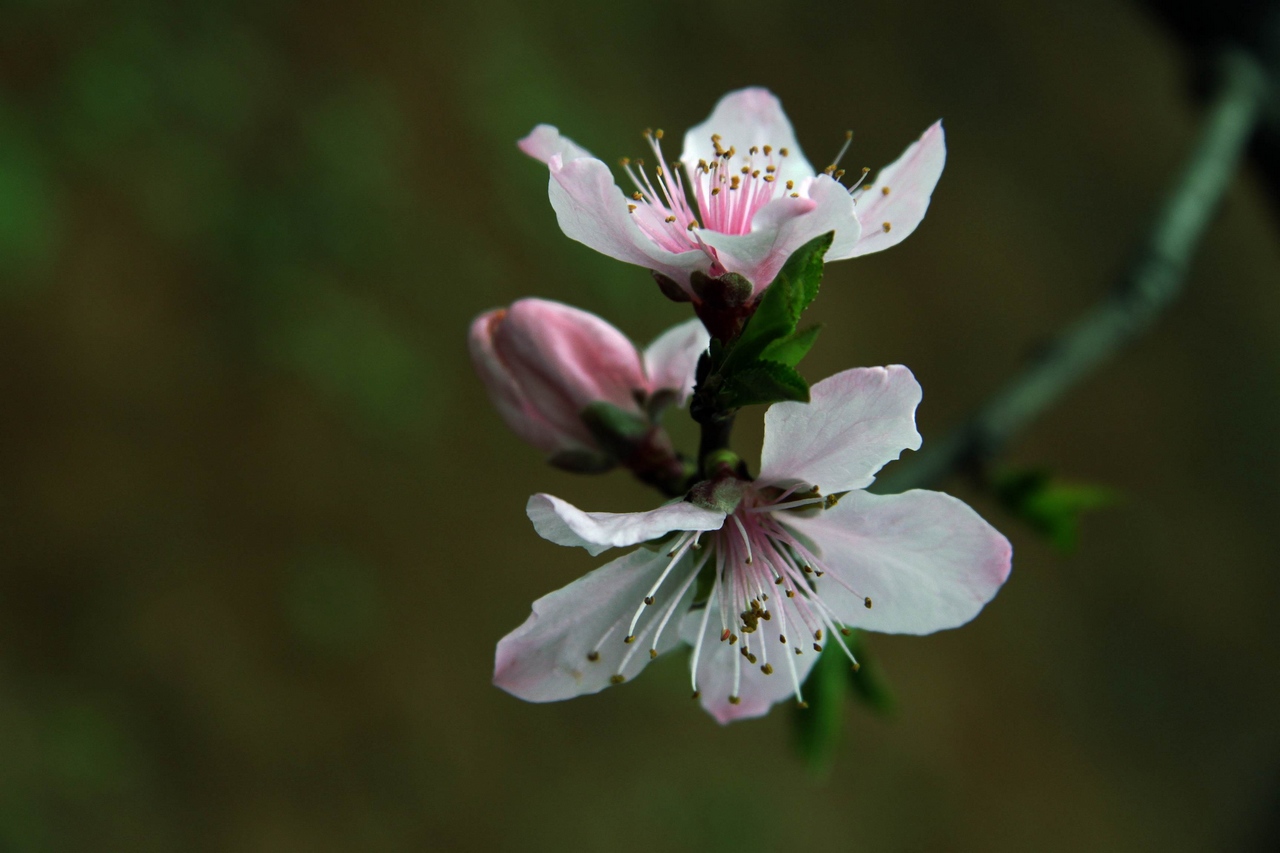 img_9569.jpg