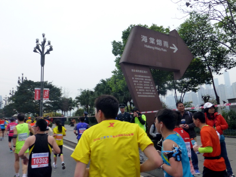p1190538.jpg