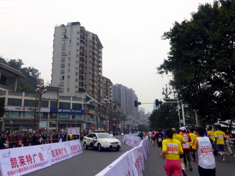 p1190539.jpg
