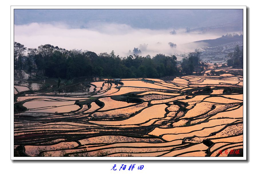 img_1905_副本.jpg