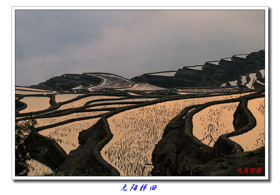 img_0646_副本.jpg
