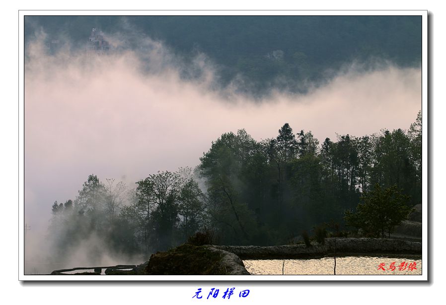 img_0650_.jpg