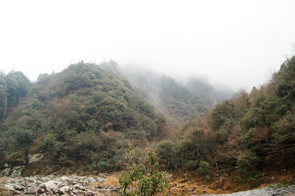 dsc09466_副本_副本.jpg