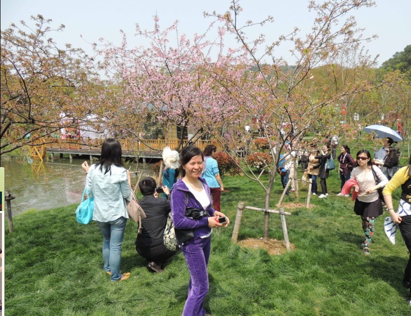 qq图片20140330130418.jpg