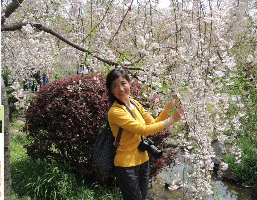 qq图片20140330130514.jpg