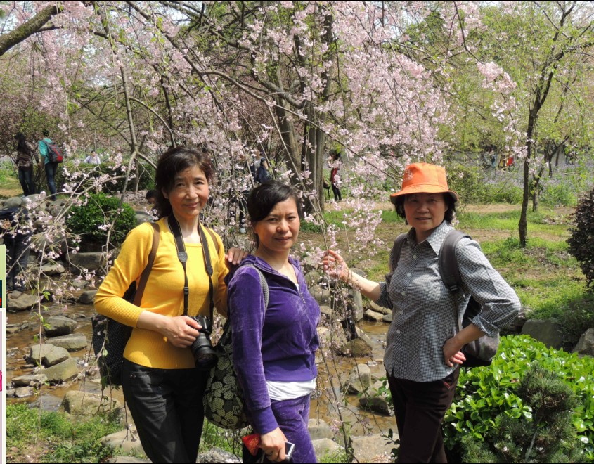 qq图片20140330130541.jpg