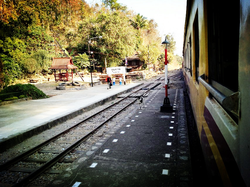 91.jpg