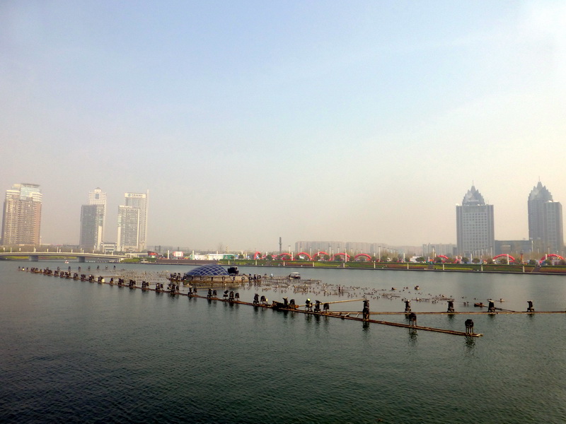 p1190815.jpg