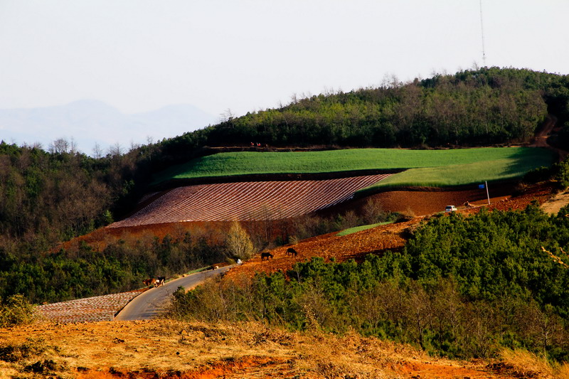 img_1869_缩小大小.jpg