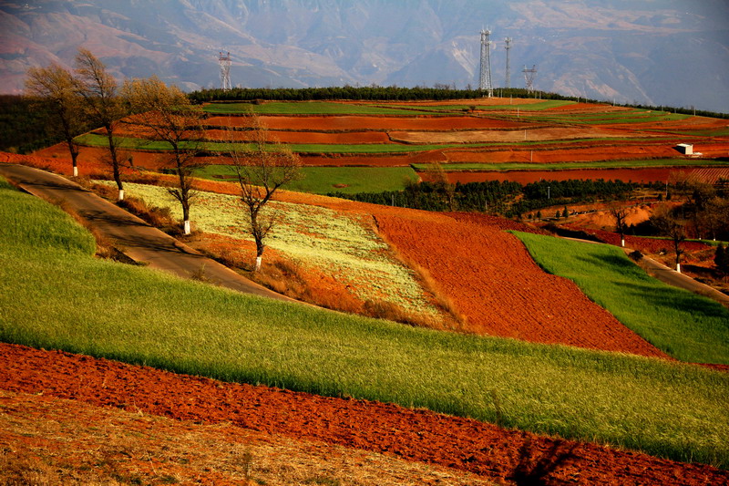 img_1843_缩小大小.jpg