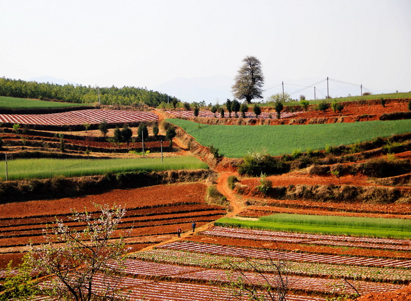 img_1788_缩小大小.jpg