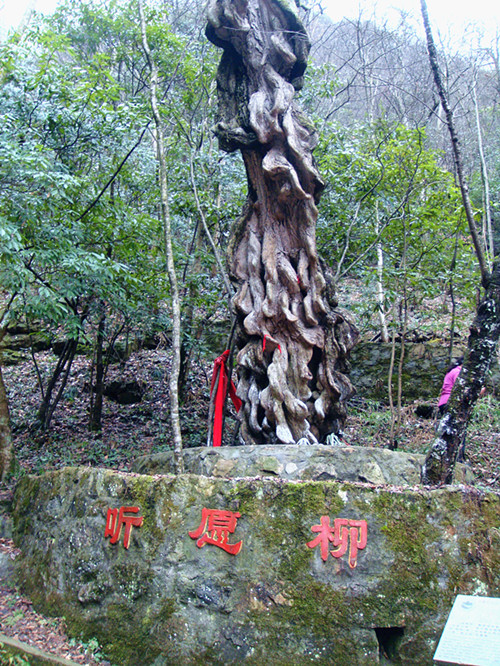 dsc03151_.jpg