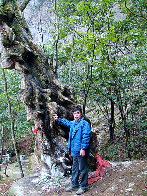 dsc03154_.jpg