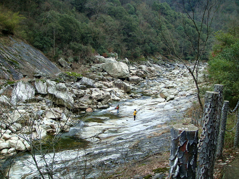 dsc03160_.jpg
