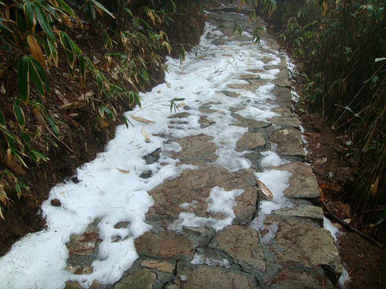 dsc03200_副本.jpg