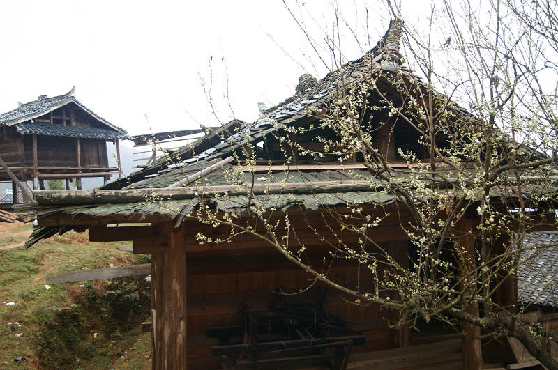 dsc08710.jpg