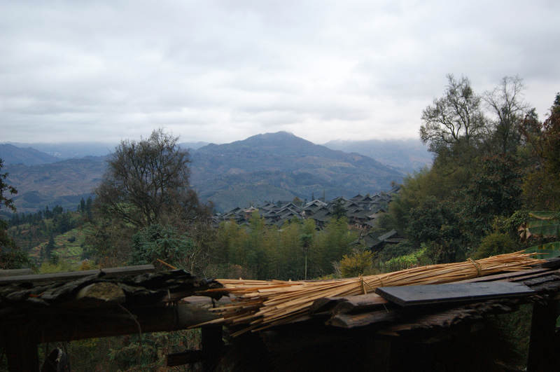 dsc08741.jpg